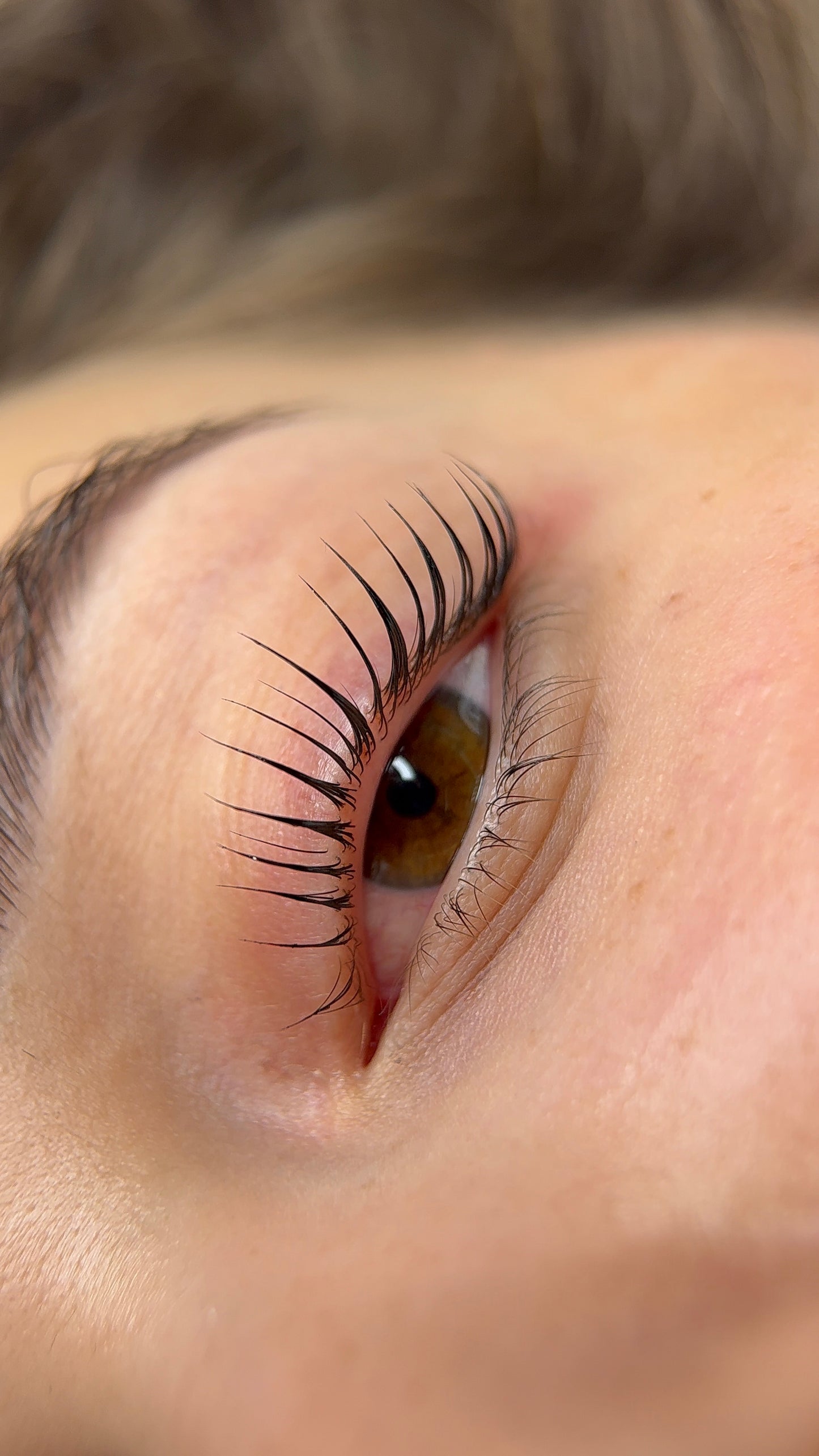 Brows Trend Masterclass: Diventa una Specialista in Laminazione Avanzata e Design con Tinte Grafiche