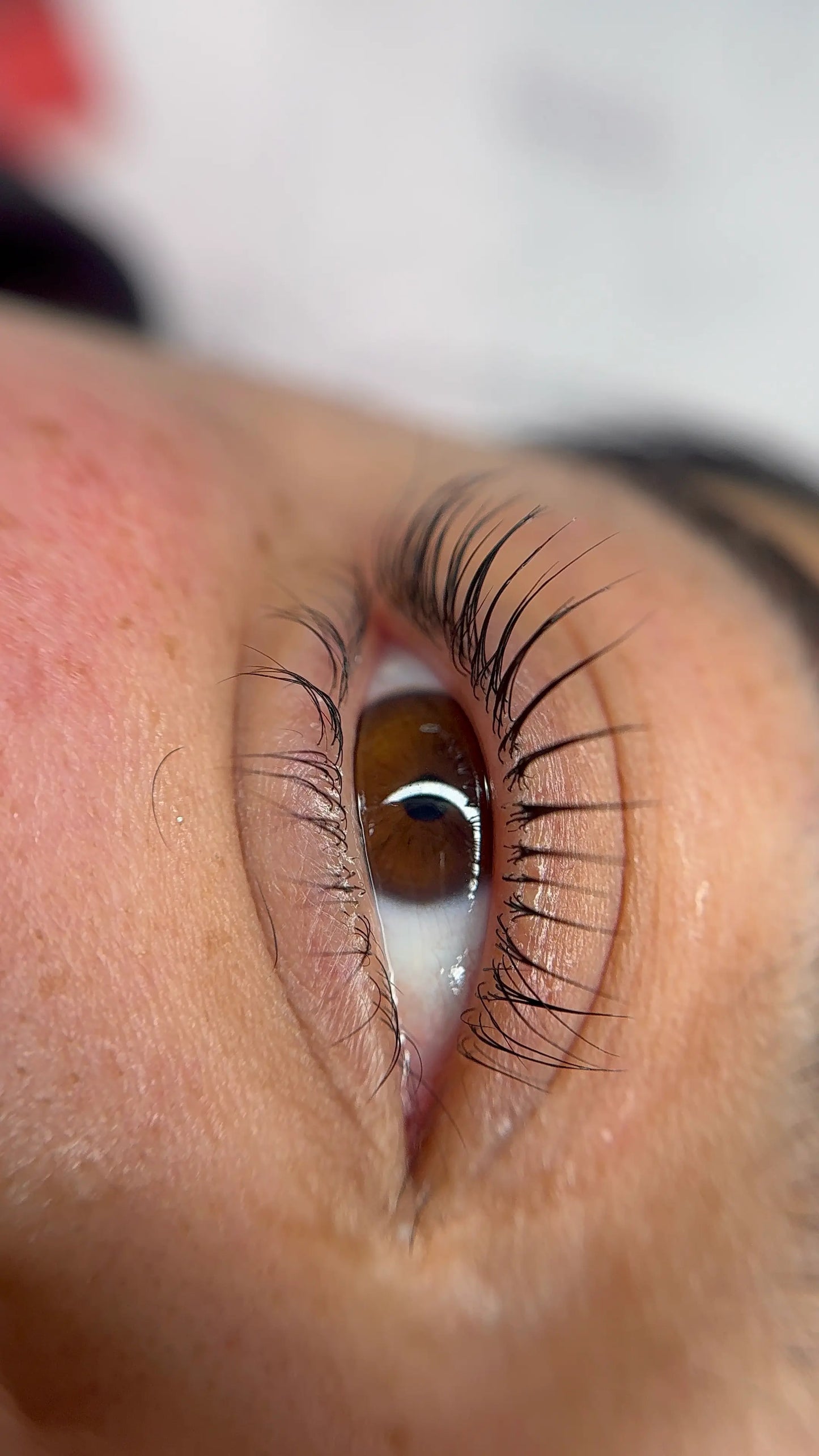 Corso Lash Love – Roma (Extension 1:1 Wet Effect)